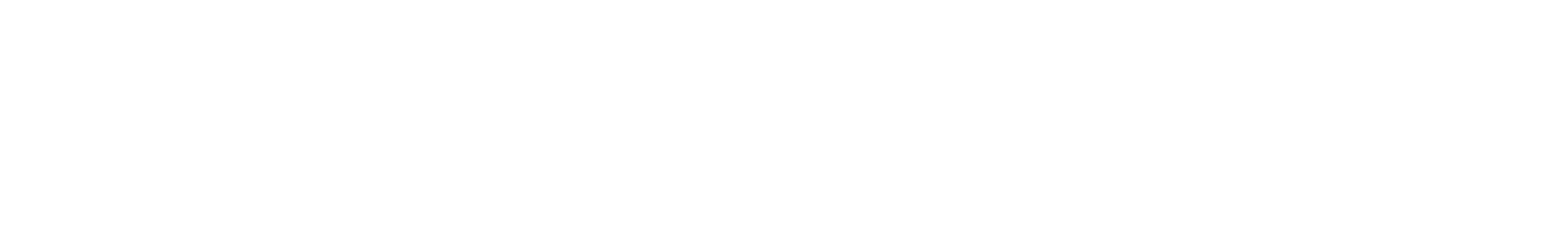 스카이즈코리아 경호센터 화이트 로고 이미지