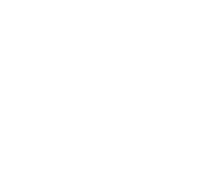 스카이즈 로고