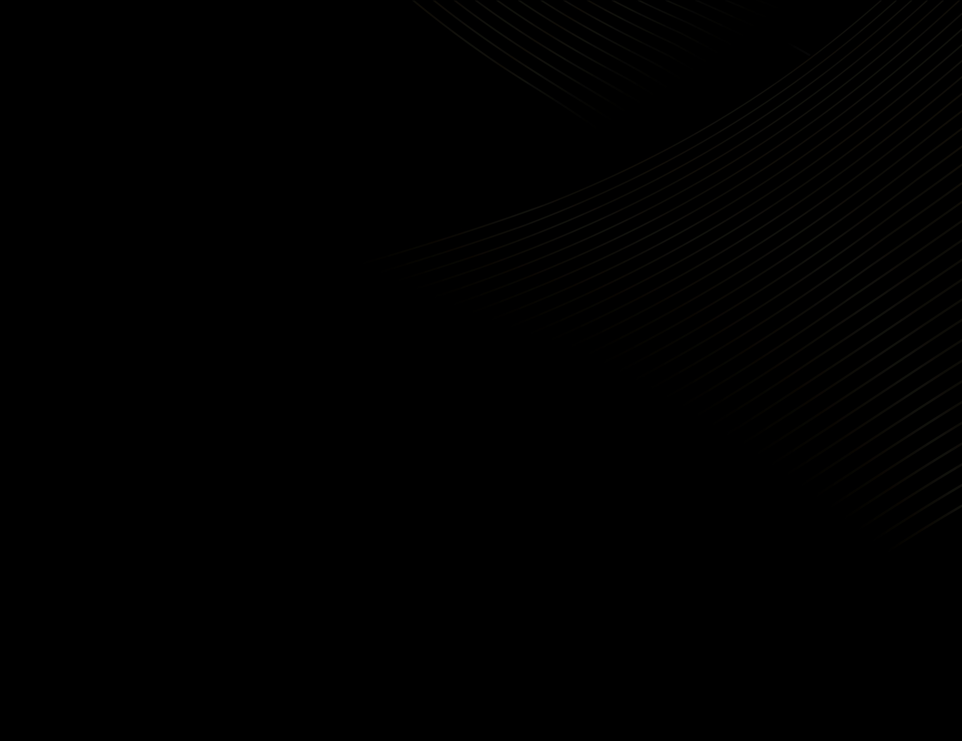 스카이즈코리아 경호센터 소개