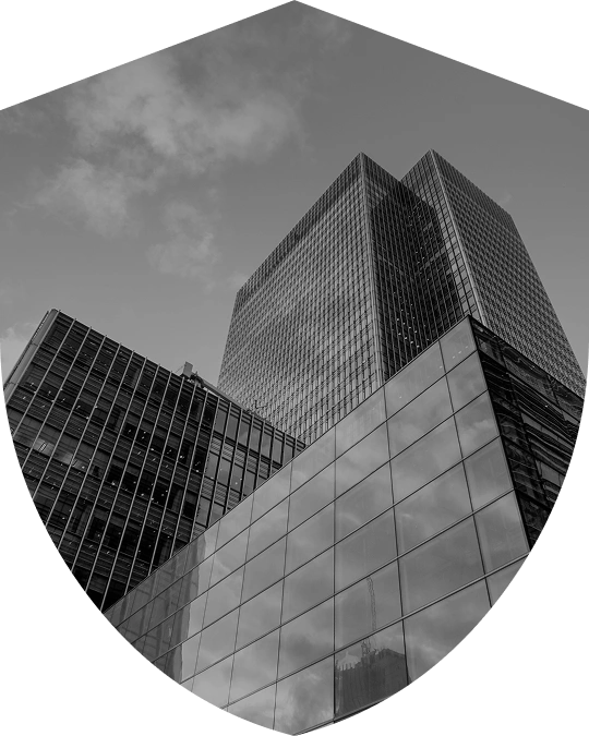 스카이즈 경호센터 서비스 - 기업보호